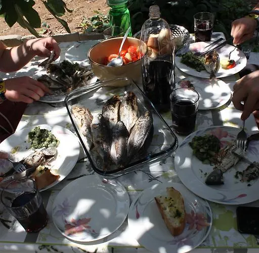 Put Plokita Lägenhet