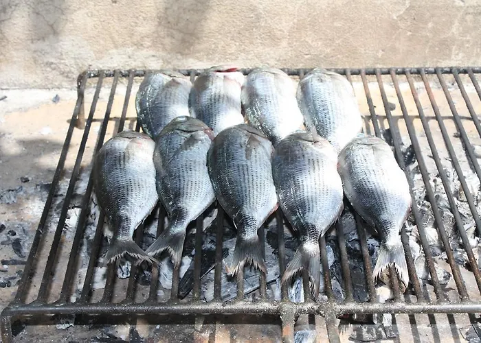 Put Plokita Lägenhet *