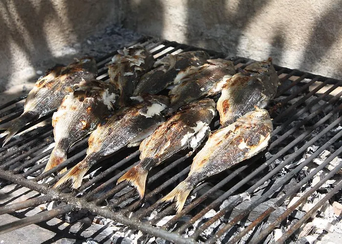 Put Plokita Lägenhet *