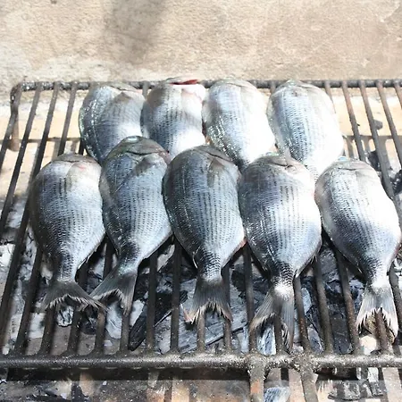 Put Plokita Apartamento *